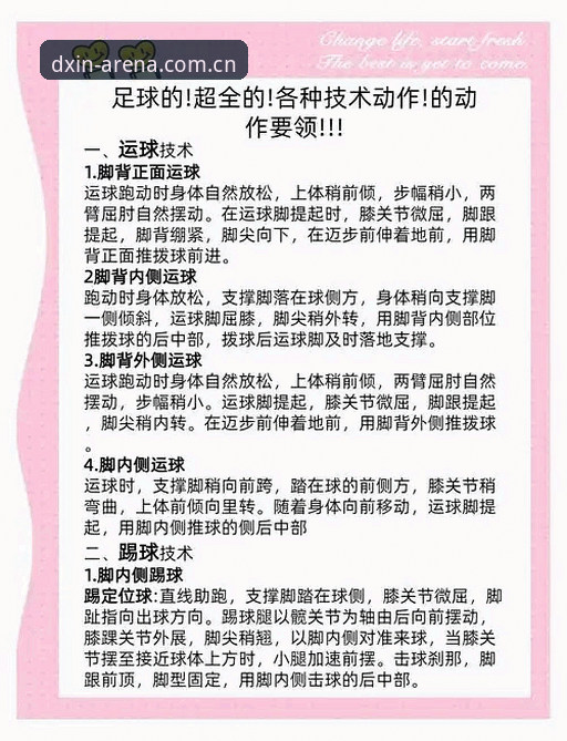 德信体育平台实用指南：从入门到精通的全方位操作评测